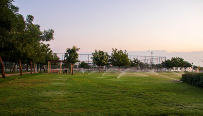 Fototapeta premium Early morning hour at the park. Outdoors