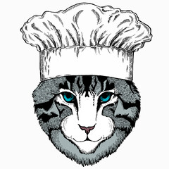 Cat head. Chef cook hat. Restaurant logo. Vector animal portrait. Face of kitten.