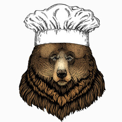 Wild bear portrait. Chef cook hat. Restaurant logo. Animal head. Grizzly bear.