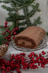 Christmas Yule Log Buche de Noel chocolate cake