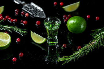 Fototapeta na wymiar Photo of a glass of absinthe with spoon, brown sugar, cranberries, ice cubes and lime slices.