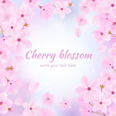 Naklejka na ściany i meble Cherry blossom background.