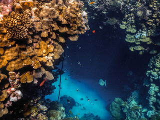 Fototapeta na wymiar corals and cave while diving in the red sea in egypt