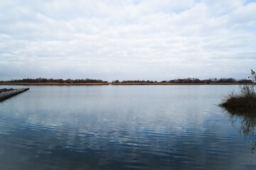 autumn landscape. view of opposite bank of river. cloudy weather.