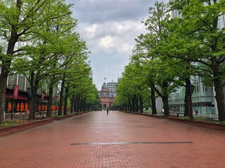 street with trees in city
