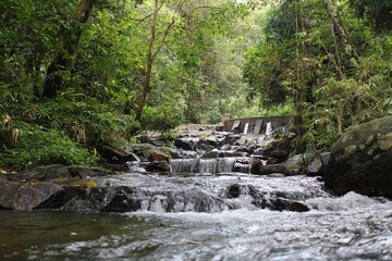 waterfall in the forest