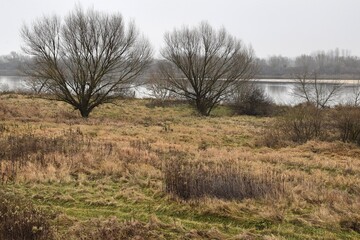 Grudniowy krajobraz nad Wisłą w okolicach Sandomierza © Anna