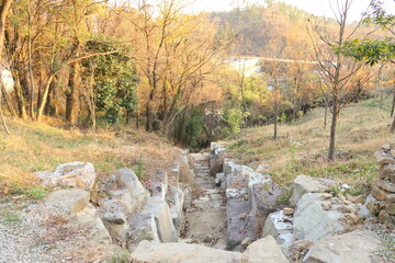 Late autumn park landscape