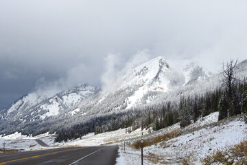 Obraz premium First Snowfall of the Season