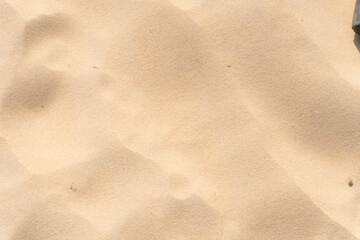 sand texture on the beach in summer sun