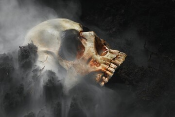 Skull of a dead man in on the ground