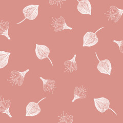 Hand-drawn Pattern Vector Physalis