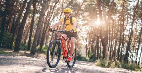 Man cycling along pine forest road in sunlights