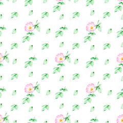 Watercolor seamless floral pattern with Rosehip (wild rose) flower with green leaves.On white background.For wrapping paper,fabrics,textiles,wallpaper,cards,printables and others projects.