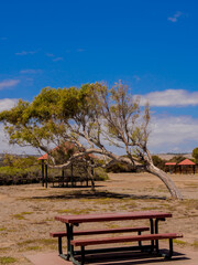Picnic bench on the banks of the river at Port Noarlunga, Adelaid, South Australia