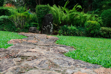 stone path in garden