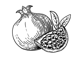 Appetizing pomegranate with leaves and cut off a slice. Delicious fruit. Hand drawn sketch. Vintage style. Black and white vector illustration isolated on white background.
