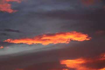 Fototapeta premium sunset in the sky