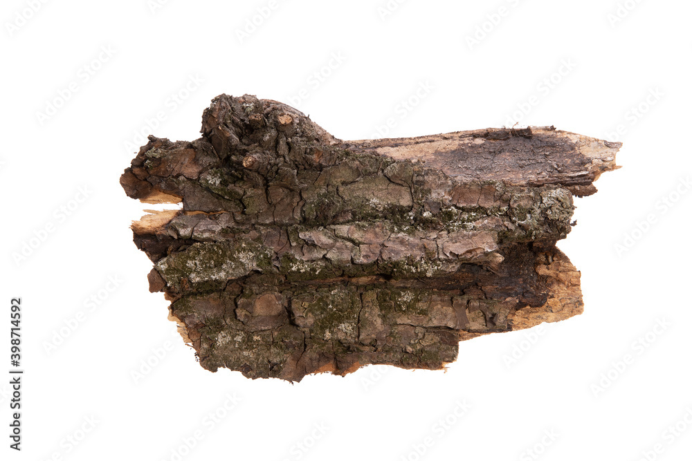 Poster the bark of the tree is isolated on a white background. wooden texture