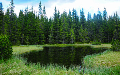 A small glacial lake in Latorita Massif, Romania. The glacial cauldron located at the lowest...