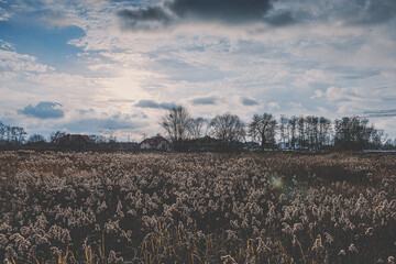 beautiful autumn landscape from Białołeka, Warsaw