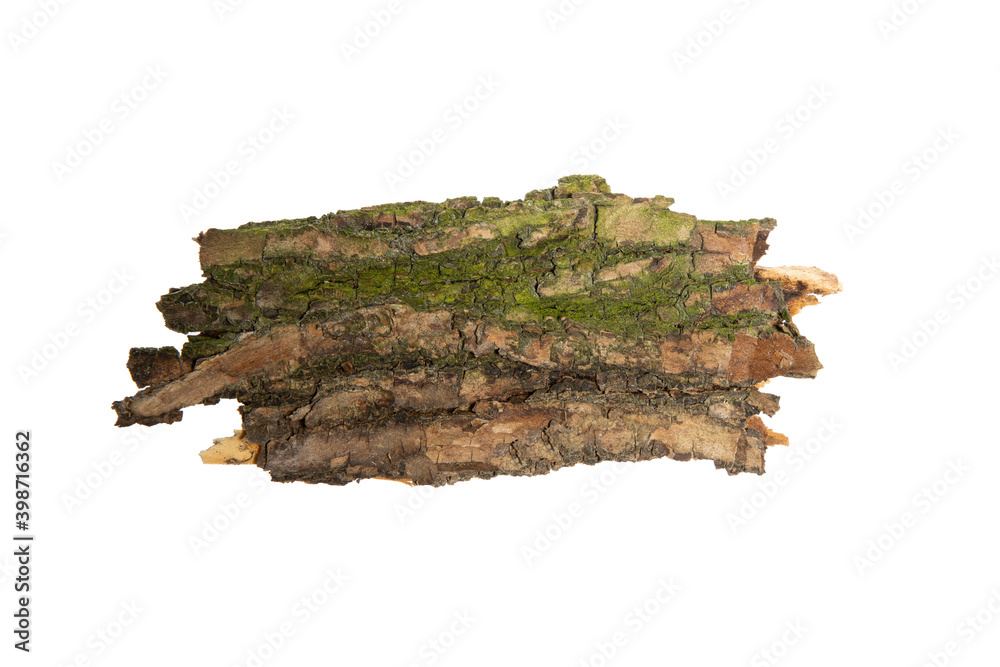 Poster the bark of the tree is isolated on a white background. wooden texture