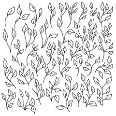 Fototapeta premium A set of ornate doodle leaves on thin twigs, a leaf with a central vein, collected in bunches and branches, parts of plants and herbs