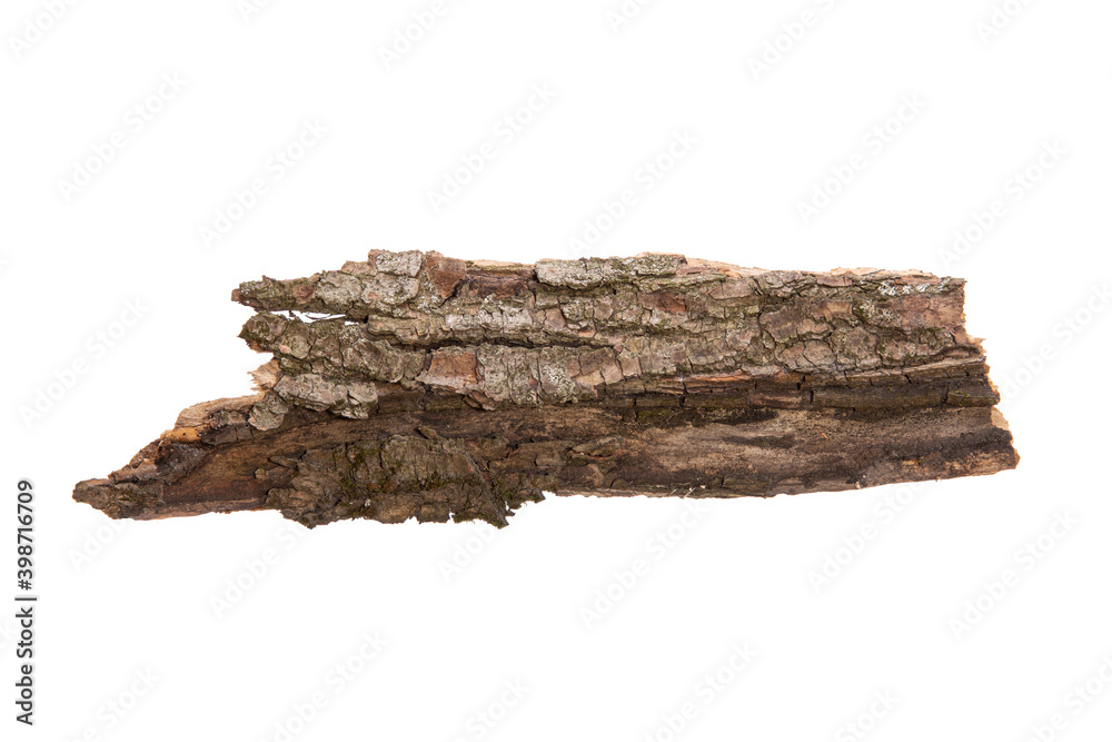 Poster the bark of the tree is isolated on a white background. wooden texture