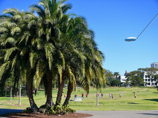 A view of Prince Alfred Park in Sydney, Australia