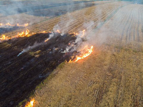 Fire burn on yellow straw rice field with smoke aerial view