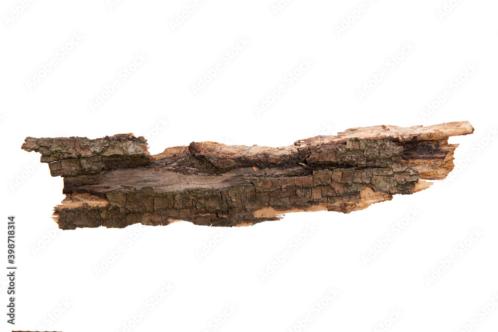 Poster the bark of the tree is isolated on a white background. wooden texture