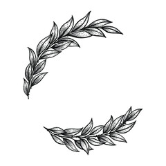 Laurel wreath hand drawn in vintage line art style. Victory symbol, elegant sketch design. Isolated on white background. Floral decorative element for wedding. 