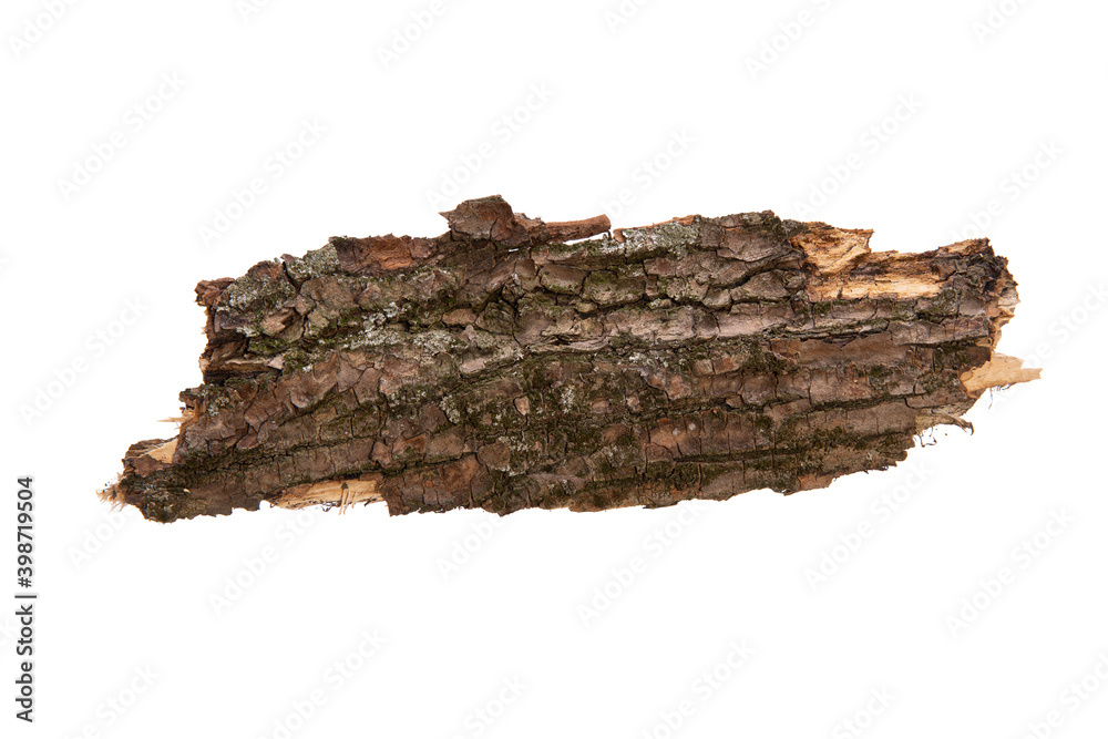 Poster the bark of the tree is isolated on a white background. wooden texture