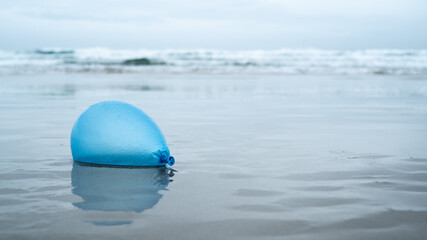 Photos from a Beach on the west coast of Norway