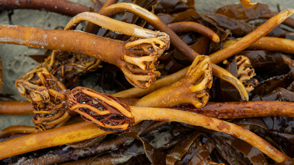 Photos from a Beach on the west coast of Norway