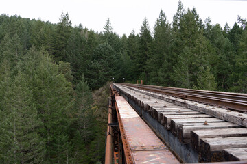 railway in the forest