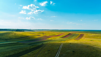 the green field is at sunset shot with the drone