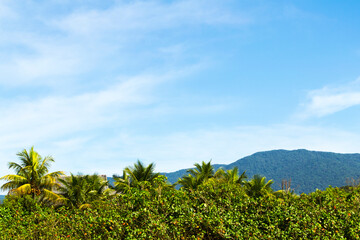 Fototapeta na wymiar Mountain on a sunny day with blue sky and green vegetation