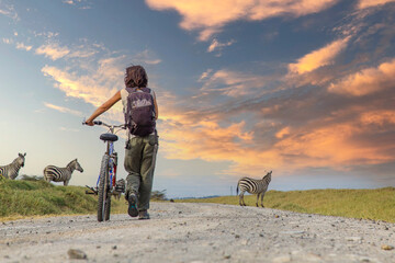 A girl on a bike next to Zebras in Naivasha in Hells Gate Park at sunset, Kenya