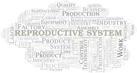 Reproductive System word cloud create with text only.