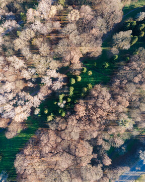 Over the park