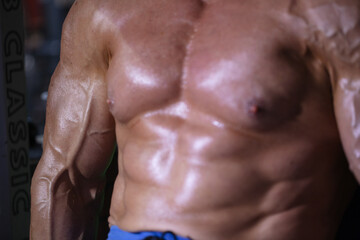 Obraz premium Athletic figure of a male bodybuilder. Torso of a male athlete