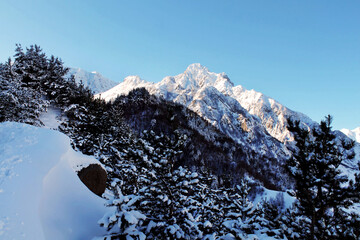snow covered mountains