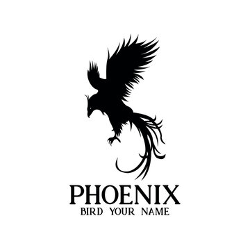 illustration phoenix logo vector. silhouette phoenix design vector