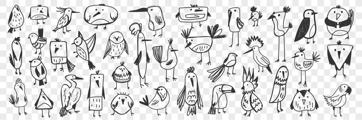Birds doodle set. Collection of funny hand drawn various kinds of cute wild birds isolated on transparent background. Illustration of owl titmouse penguin pelican toucan parrot for kids