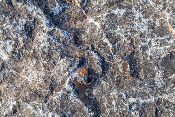 Texture of old gray concrete wall for background.selective focus.