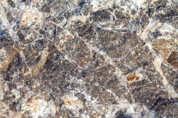 Texture of old gray concrete wall for background.selective focus.