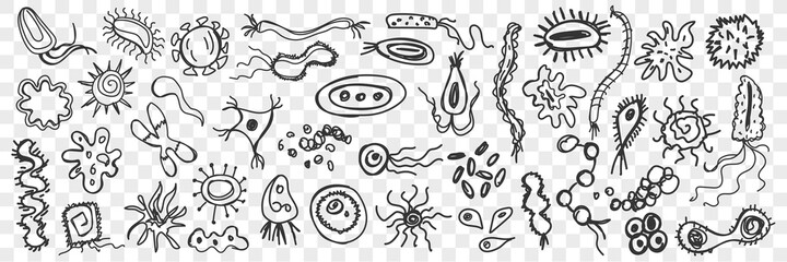 Microorganisms, bacteria doodle set. Collection of funny hand drawn unicellular bacterias of various shapes living on surfaces isolated on transparent background. Illustration of simplest life forms 