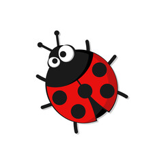 Cute cartoon ladybug isolated on white background. Vector illustration