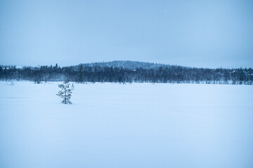 Snowy landscape in Lannavaara, Sweden (Lapland)